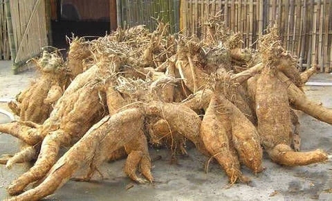 解酒效果很高的药,解酒护肝药物有用吗