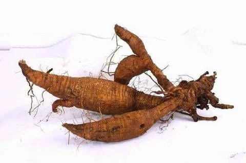 解酒效果很高的药,解酒护肝药物有用吗