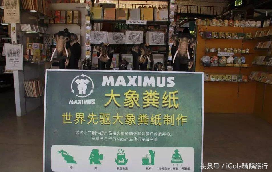 旅游必买的手信,旅游带什么手信最划算