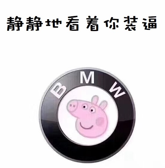 小猪佩奇身上纹掌声送给谁图片,小猪佩奇汽车标志