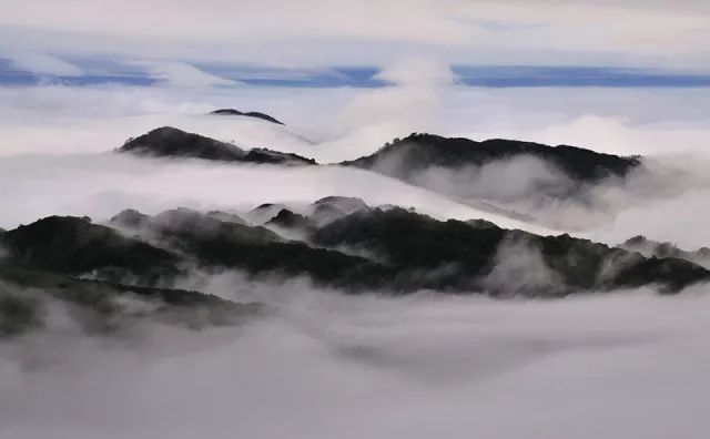 四月寻茶|除了云南普洱、西湖龙井，别小看贵州的这八道茶！