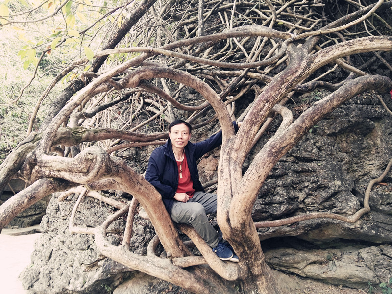 黄果树天星桥美景视频,黄果树天星桥陡坡塘景区介绍