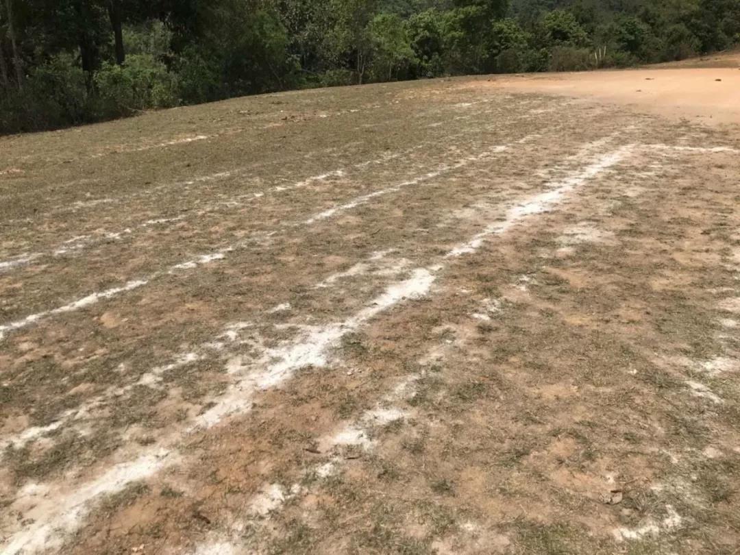 盘点：炼尸房边、大海之滨和群山环绕的泰国十大神奇球场