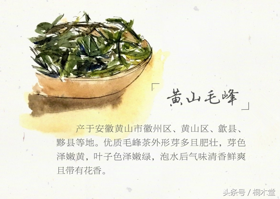 一张图读懂各种茶具,一张品茶实用图