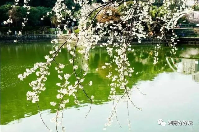 长沙地铁4号线时刻表,长沙地铁已开通4条共多少公里