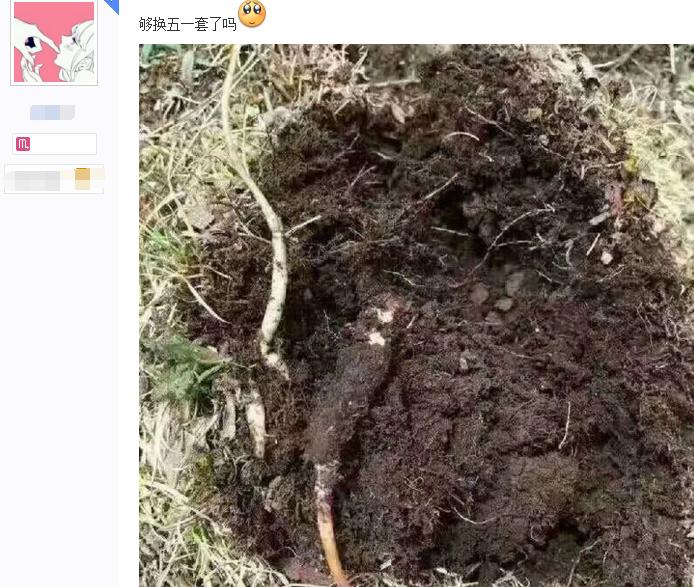 dnf六套五一套卖完能剩什么,dnf2020年五一套有什么能卖的