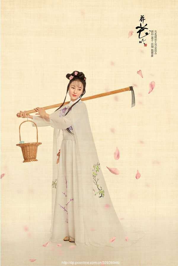 随笔摘抄精美古诗简短,葬花随笔