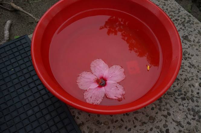 除甲醛有妙招比花钱除甲醛更有效,除甲醛的科学权威最佳方法