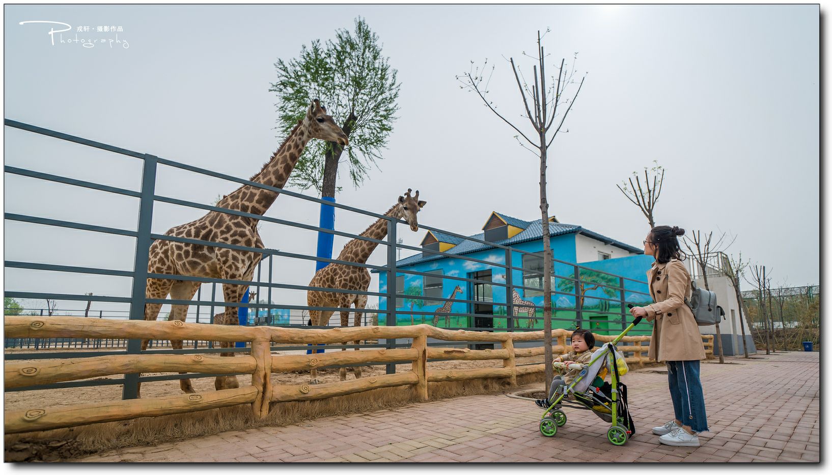 鍔ㄧ墿鍥悓瀹犳涔愬,鍔ㄧ墿鍥噹鐢熷姩鐗╃伅鍏夌