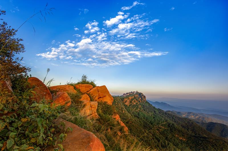 老家大槐树花开新密九里山