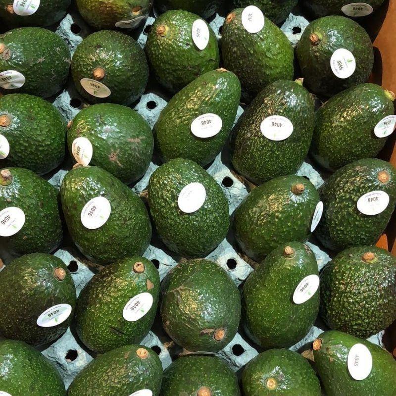 行内人教你5个方法挑选牛油果,还有减肥食谱大公开