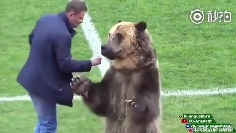 俄罗斯足球队比赛视频,俄罗斯足球队对阵日本队