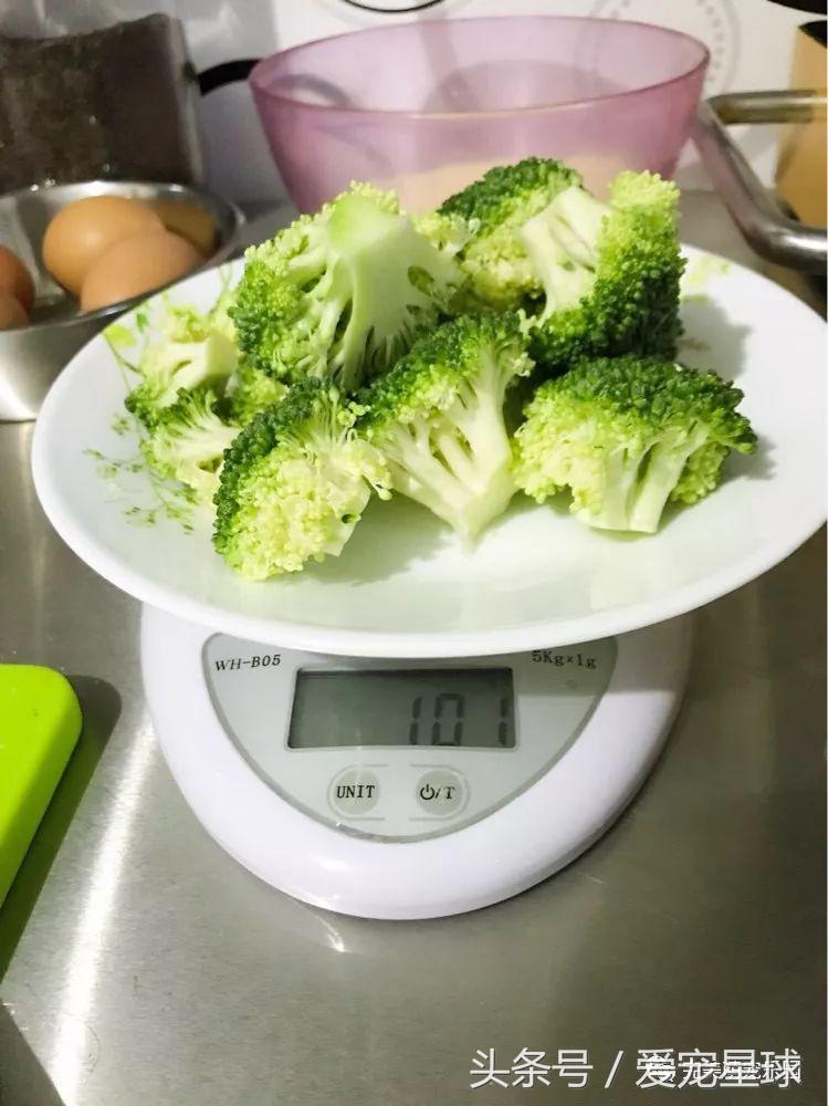 如何自制幼犬去泪痕狗粮视频教程,怎么给狗自制狗粮器