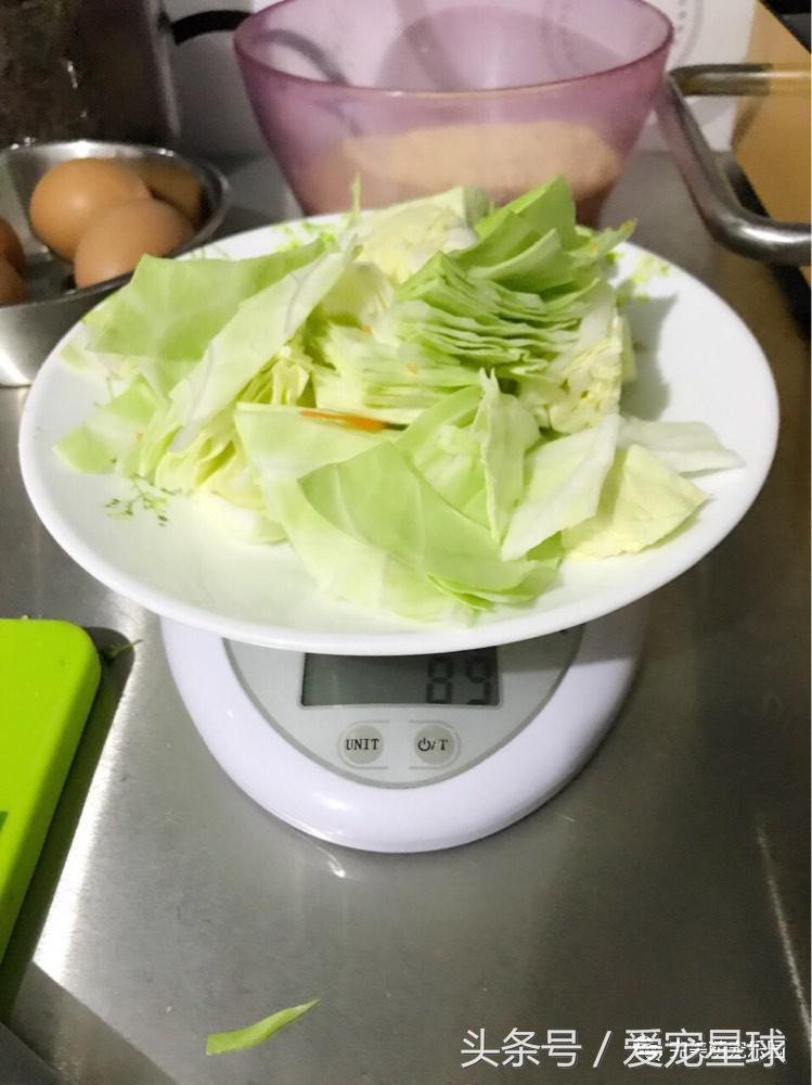 如何自制幼犬去泪痕狗粮视频教程,怎么给狗自制狗粮器