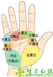 教你如何精准的看自己手相,自己对照图看自己的手相