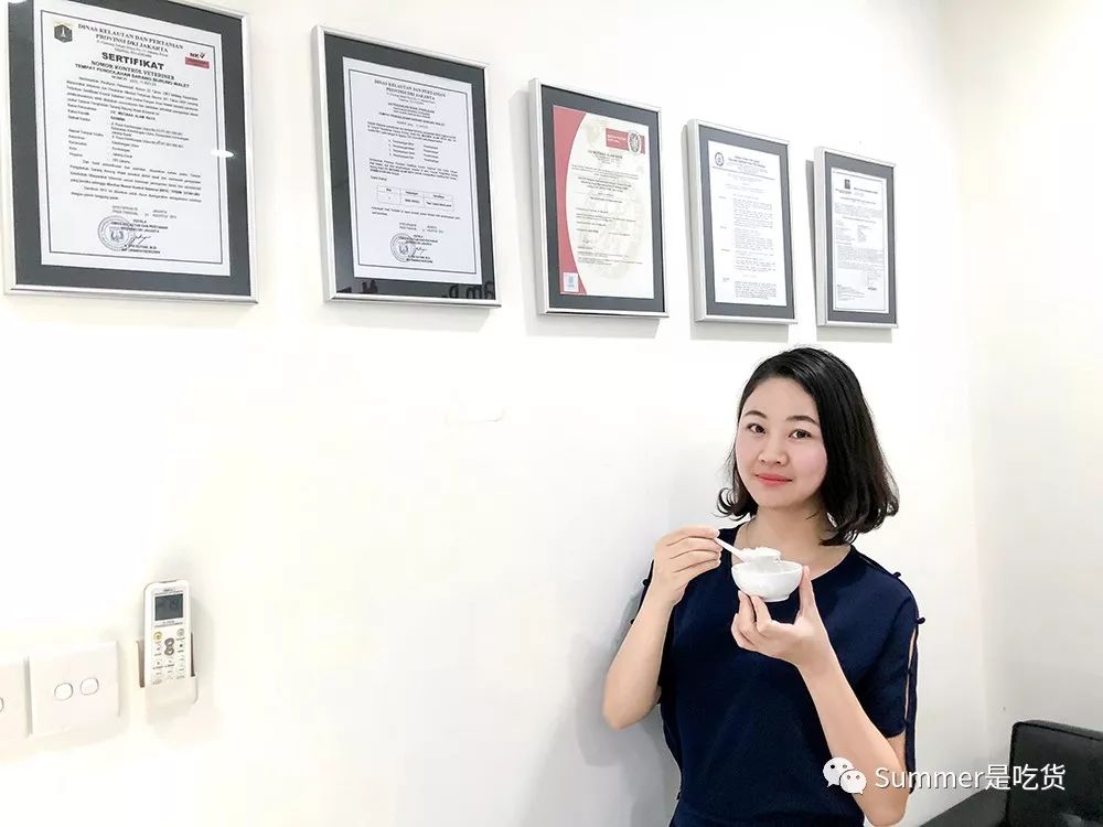 寻燕日记之关于燕窝的一些见解(二)