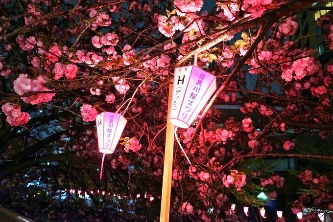 妯辫姳瀛ｅ幓鏃ユ湰涓滀含鏃呮父,涓滀含涓ゅぉ鏆磋蛋涔嬫梾