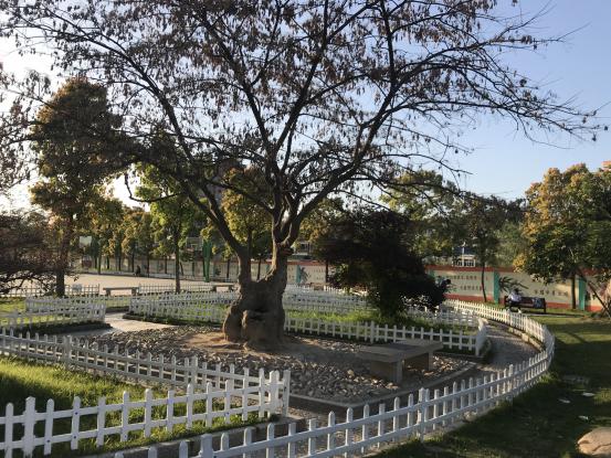 不要只看国外的基础设施，看看我国的小学厉害不厉害！