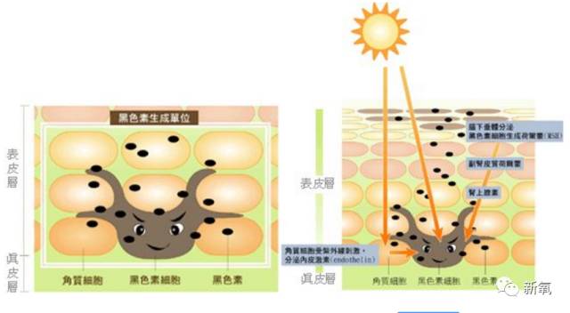 孙怡涂粉,孙怡裹腿美白大法