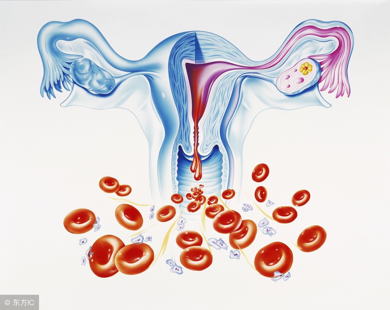 多久换一次卫生巾才是正确的,卫生巾大概多久换一次最好