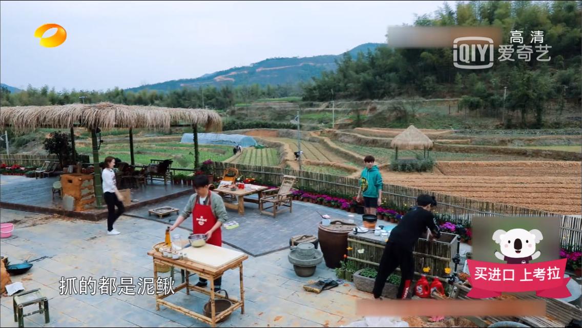 向往的生活黄鳝和泥鳅,向往的生活第三季黄鳝和泥鳅