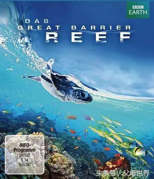 世界地球日，最适合孩子看的18部自然纪录片，趁周末，带娃看起来