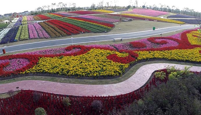 北京国际鲜花港五一开门吗,北京国际鲜花港老年人门票价格