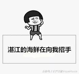 水产塘口每日最新报价,水产频道淡水鱼今日行情