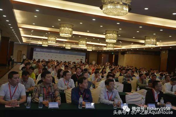 水产塘口每日最新报价,水产频道淡水鱼今日行情