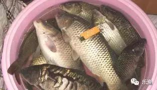 广西南宁钓鱼钓点,广西最新钓鱼技巧