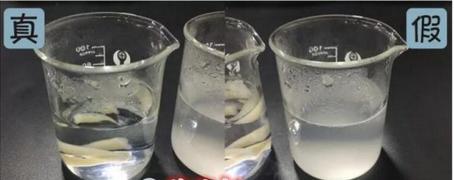 雅诗兰黛红石榴洗面奶真假对比 (雅诗兰黛红石榴洗面奶辨真假)