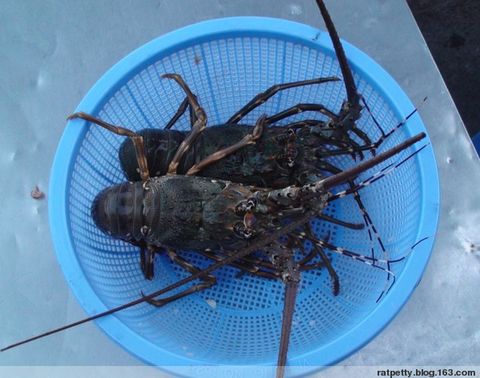 越南最美露天温泉,越南北江泡温泉