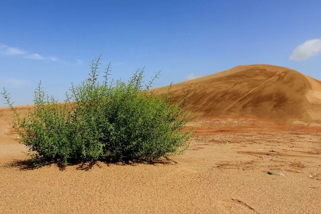 陶冶户外徒步戈壁,陶冶户外挑战无人区