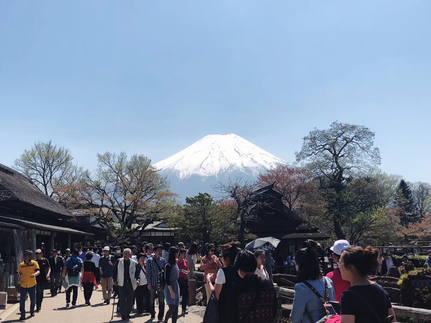 世界那么大假期你都游过哪些地方,世界那么大旅游特辑