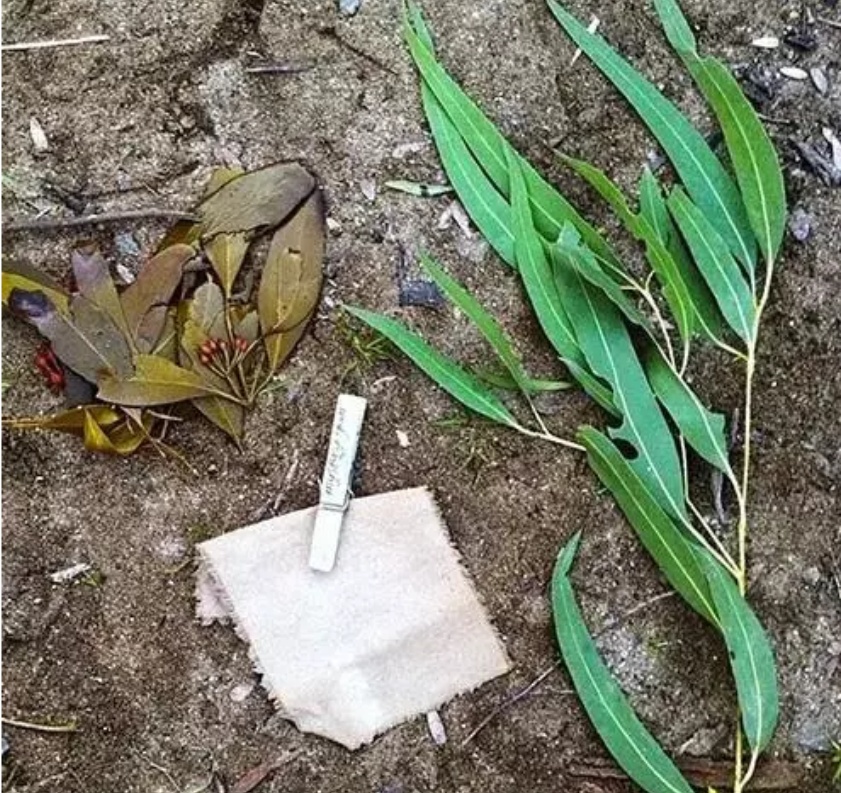 古法植物手工染布,非物质文化遗产手工花