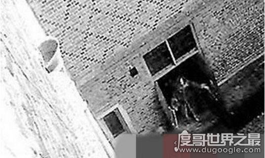 世界诡异十大照片,世界上真实的十大诡异照片