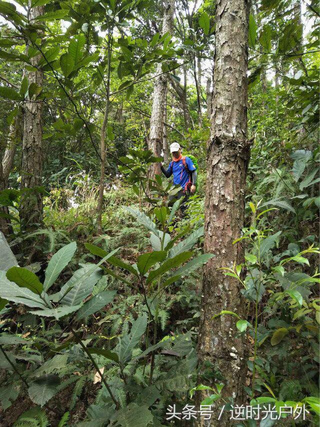 三叠井国家森林公园之旅