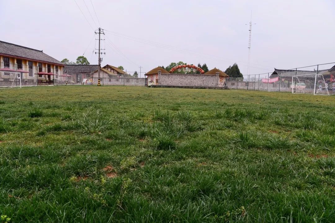 游仙区第五届旅游节,游仙区第六届乡村旅游节