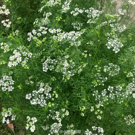100涓鑿滃喎鐭ヨ瘑,12涓喎鐭ヨ瘑