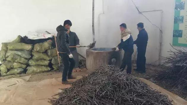 核桃育苗方法和技术,张美勇核桃高效栽培关键技术