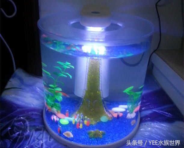 小水泵自制鱼缸过滤系统,小水泵创意作品