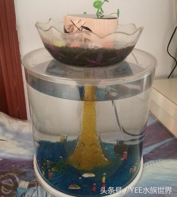 小水泵自制鱼缸过滤系统,小水泵创意作品