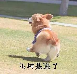 旅游必须教男友学会的拍照技巧,男友必看的拍照技巧有哪些