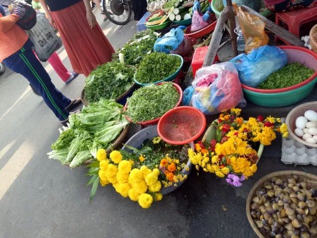 越南旅行之岘港攻略,越南岘港巴拿山风景