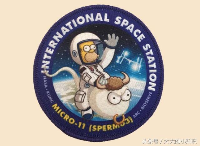 为什么美国航空航天局要把大量的精子送入轨道？看完后实在是佩服