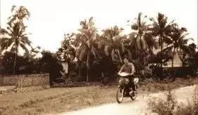 槟榔霸主的诞生,你嚼槟榔吗?知道他的故事吗?