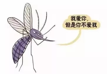 蚊子为什么咬o型血的人呢,蚊子咬人和o型血什么关系