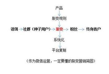 微信引流裂变怎么玩,微信引流的100个小技巧
