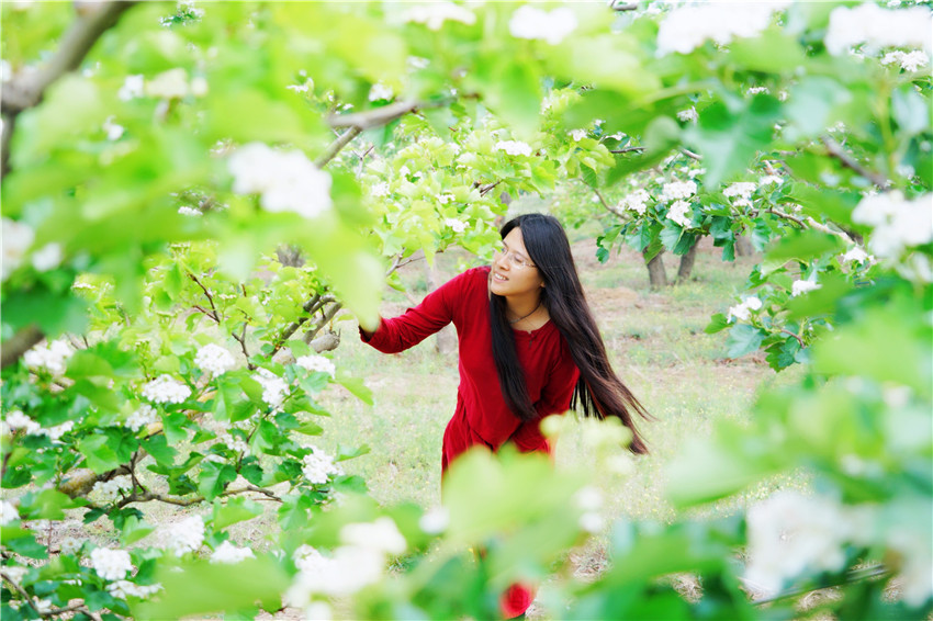 中国清河羊绒衫,清河中国羊绒价格