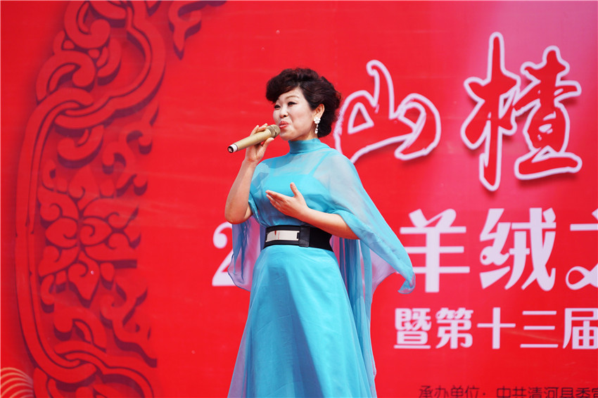 中国清河羊绒衫,清河中国羊绒价格